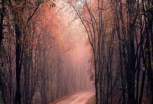 云南女排晋级全运决赛圈，她是最大功臣！技术全面，曾入选国家队.：旺财28