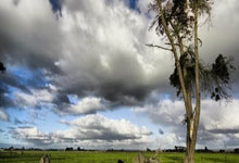 前金球奖得主丹尼斯·劳去世，曼联“三圣”全部离去九派新闻.