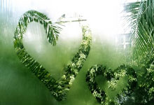 前金球奖得主丹尼斯·劳去世,曼联“三圣”全部离去九派新闻.