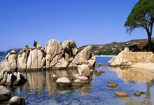 云南女排晋级全运决赛圈,她是最大功臣!技术全面,曾入选国家队.:旺财28